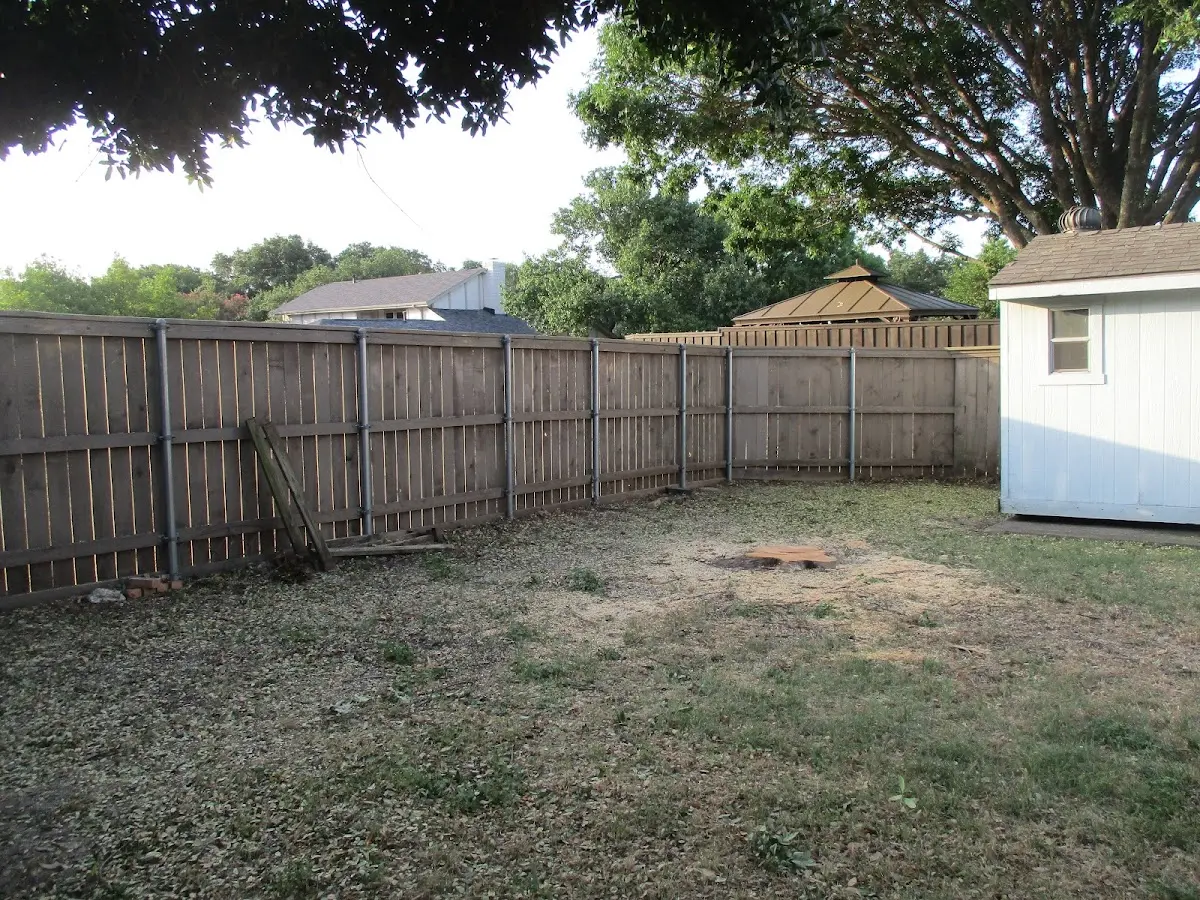 Cleared yard after professional tree removal in Hallie