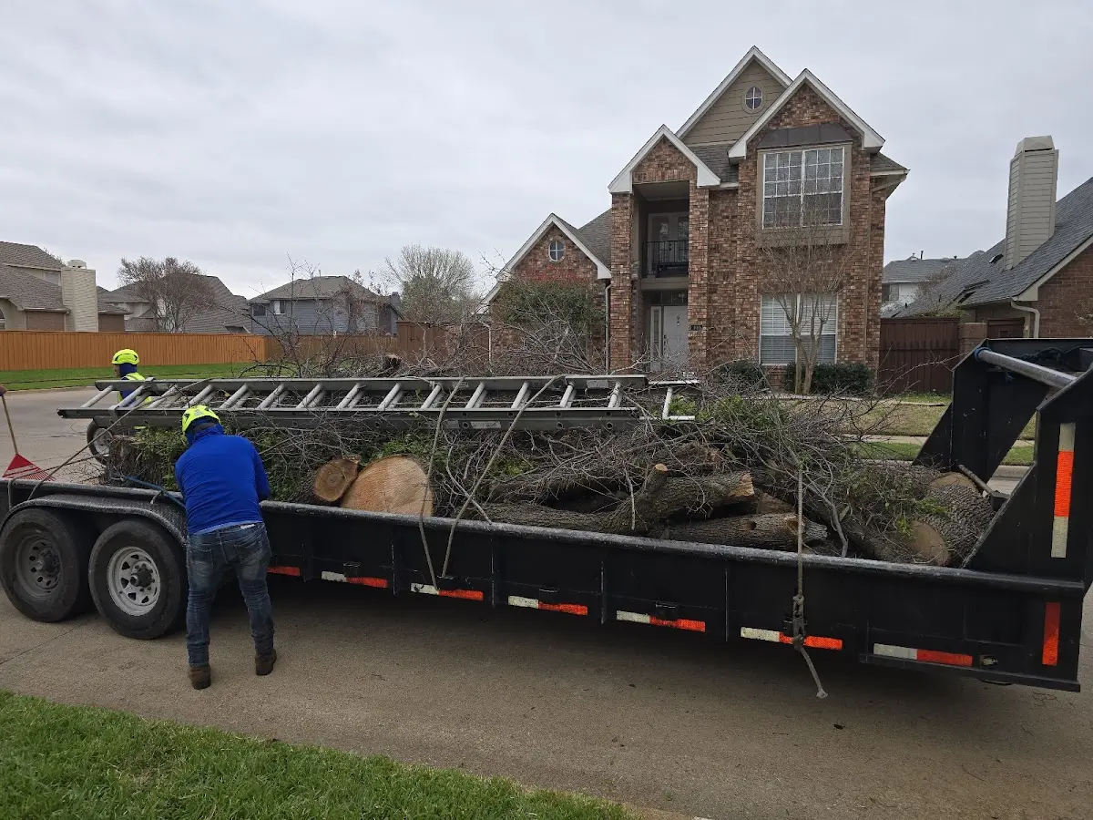Expert Tree Pest Control with proper safety equipment in Hallie